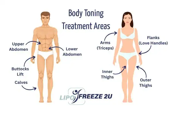 Graphic showing where you can have Body toning Treatment Bicester on your body
